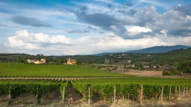 Reihen Grüner Weinberge Der Chianti Region Sonnigen Tagen Sommersaison Toskana — Stockvideo