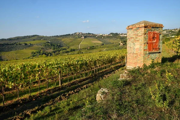 Panorama Hermosos Viñedos Cerca Greve Chianti Con Pozo Agua Vieja —  Fotos de Stock