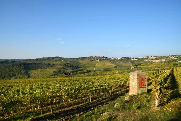 Panorama Des Beaux Vignobles Près Greve Chianti Avec Vieux Puits — Photo
