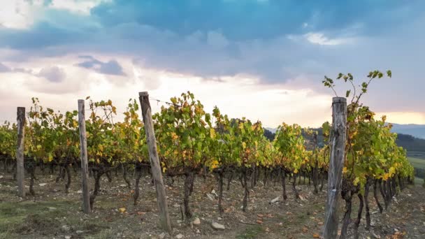 Gelbe Weinberge Der Chianti Region Mit Dramatischem Bewölkten Himmel Toskana — Stockvideo