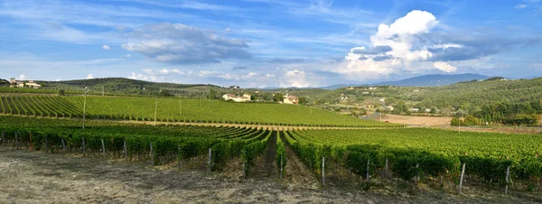 Florence September 2018 Kebun Anggur Hijau Yang Indah Daerah Chianti — Stok Foto