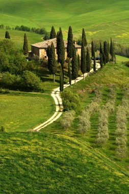 Pienza, İtalya - 24 Nisan 2018: Ünlü Podere Belvedere ' Tuscany kalbinde bahar sezonu. Val d'Orcia. Güzel Toskana manzara.
