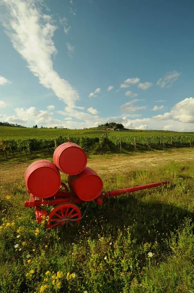 2018 フィレンツェ イタリア フィレンツェ ポンタッシエーベ近くキャンティ地方のトスカーナのブドウ畑の赤樽 — ストック写真