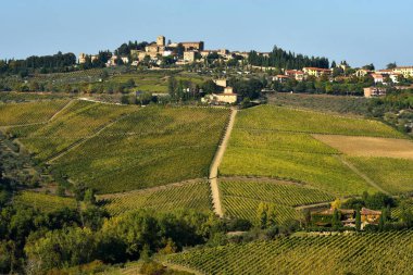 Panzano (Firenze) yakınındaki üzüm bağları ile güzel Tuscany manzara. İtalya
