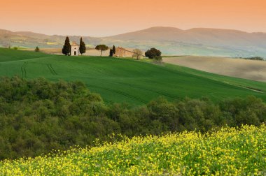 İtalya Tuscany - Nisan 24,2018 Cappella Di Vitaleta veya Vitaleta Şapel San Quirico D'Orcia Toskana yakınındaki. Sarı Kolza çiçekleri ile ünlü kilisenin arka plan üzerinde.
