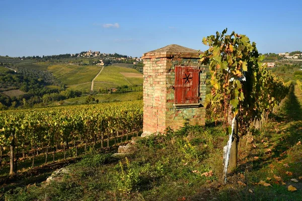 Wunderschöne Toskanische Landschaft Mit Weinbergen Der Nähe Von Panzano Firenze — Stockfoto