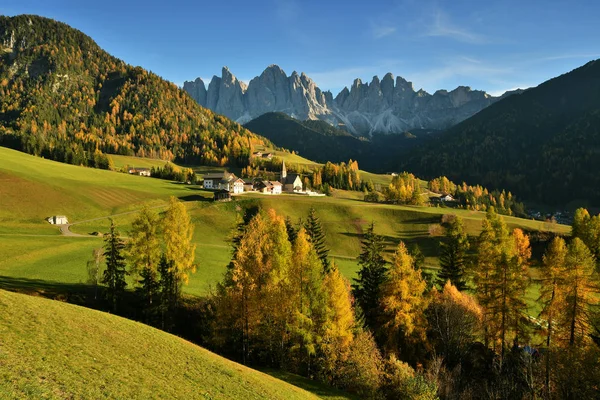 イタリアのドロミテのヴァル フネス サンタマグダレーナ村 夕日を背景に色鮮やかな木々 Odle 山群バレーの紅葉風景は イタリア — ストック写真