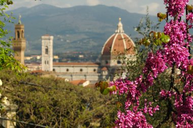 Floransa 'daki Santa Maria del Fiore Katedrali, bahar sezonunda çiçeklenme mor ağaçlar (Judas Trees) ile Bardini Bahçesi 'nden görüldü. İtalya.