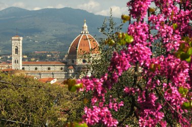 Floransa 'daki Santa Maria del Fiore Katedrali, bahar sezonunda çiçeklenme mor ağaçlar (Judas Trees) ile Bardini Bahçesi 'nden görüldü. İtalya.
