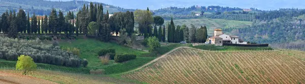 Florenz April 2019 Toskanische Landschaft Mit Hügeln Und Jungen Grünen — Stockfoto