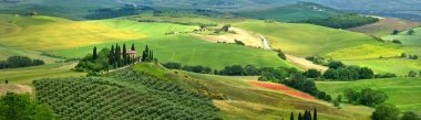 Pienza, Toskana-2019 Haziran: Italya 'daki Toskana 'nın güzel manzarası, Pienza yakınlarındaki Val d Orcia 'daki Podere Belvedere, selvi, zeytin ağaçları ve yeşil tepeler ile. Siena, Italya.