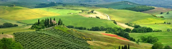 Pienza Toscana Junio 2019 Hermoso Paisaje Toscana Italia Podere Belvedere — Foto de Stock