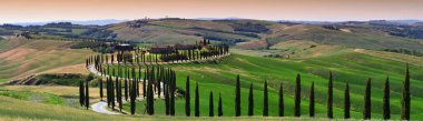Ascanio, İtalya - Mayıs 2020: Günbatımında muhteşem tipik Toskana manzarası. Selvi ağaçları ve Tuscany 'deki beyaz çakıl yolu ile en ünlü yerlerden biri, Asciano (Siena) yakınlarında. İtalya.