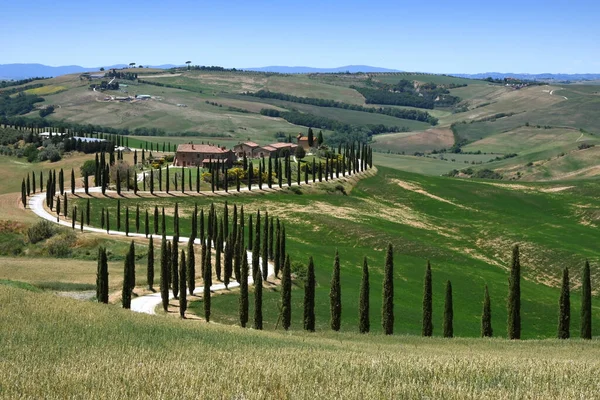 Asciano Italien Mai 2020 Toskanische Landschaft Einer Der Berühmtesten Orte — Stockfoto