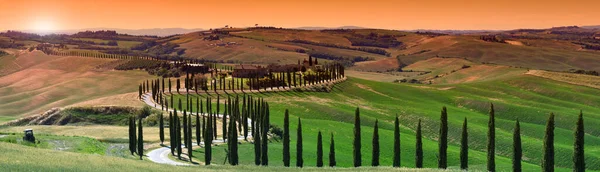 Asciano Italia Mayo 2020 Paisaje Toscano Atardecer Uno Los Lugares — Foto de Stock