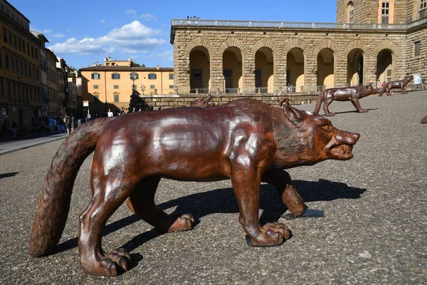 Florencia Italia 2020 Los Lobos Liu Ruowang Exhiben Plaza Pitti —  Fotos de Stock