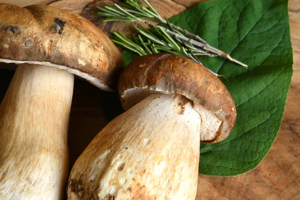 Boletus Edulis Gomba Vágódeszkán Rozmaringgal — Stock Fotó