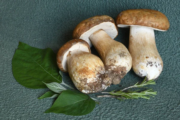 Boletus Edulis Gomba Rozmaringgal Zöld Alapon — Stock Fotó