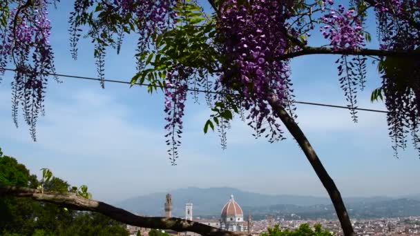 Bela Vista Catedral Santa Maria Del Fiore Florença Vista Jardim — Vídeo de Stock