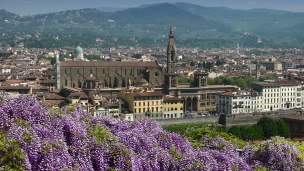 Bela Vista Basílica Santa Croce Florença Vista Famoso Jardim Bardini — Vídeo de Stock