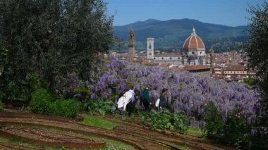 Floransa, Mayıs 2019: Turistler Floransa 'daki ünlü Santa Maria del Fiore Katedrali' ne, güzel mor salkımlı Michelangelo Meydanı yakınlarındaki bir bahçeden hayran kaldılar. Floransa, İtalya. Büyütme etkisi.