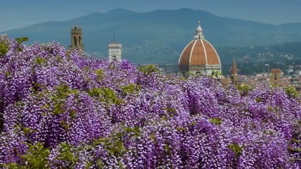 Piękny Widok Katedrę Santa Maria Del Fiore Florencji Jak Widać — Wideo stockowe