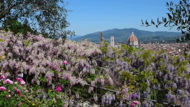 Cattedrale Santa Maria Del Fiore Firenze Vista Giardino Nei Pressi — Video Stock