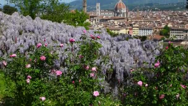 Die Kathedrale Santa Maria Del Fiore Florenz Von Einem Garten — Stockvideo