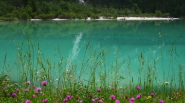 Sexten Dolomites 'teki Dobbiaco (Bolzano) yakınlarında bulunan Landro' nun güzel turkuaz gölü. Güney Tyrol, İtalya.