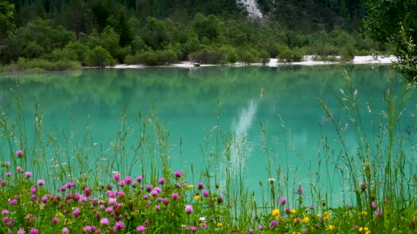 Belo Lago Azul Turquesa Landro Perto Dobbiaco Bolzano Nas Dolomitas — Vídeo de Stock