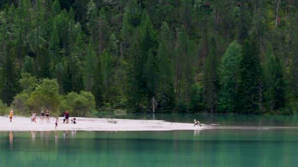 Dobbiaco July 2019 Tourists Beautiful Turquoise Lake Landro Dobbiaco Bolzano — Stock Video