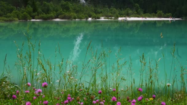 Belo Lago Azul Turquesa Landro Perto Dobbiaco Bolzano Nas Dolomitas — Vídeo de Stock