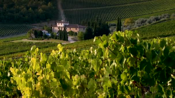 Sieci Florence September 2019 Beautiful Vineyards Chianti Region Sunset Farm — 图库视频影像