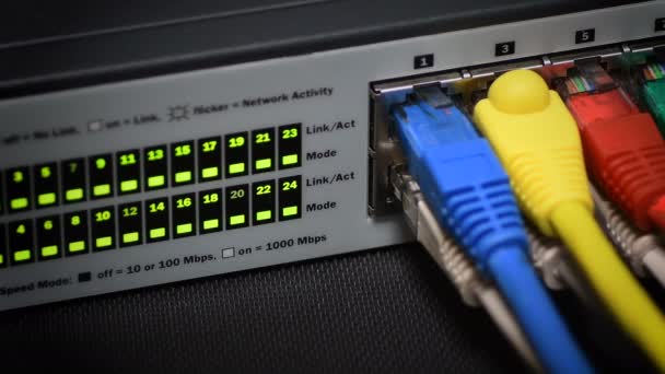 Lan Rj45 Sunucu Anahtarındaki Işık Bağlantı Kablolarının Ayrıntıları Pan Kamera — Stok video