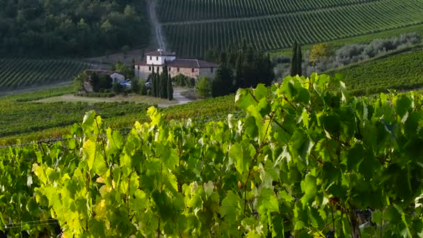 Sieci Florencie Září 2019 Krásné Vinice Regionu Chianti Usedlostí Susetu — Stock video