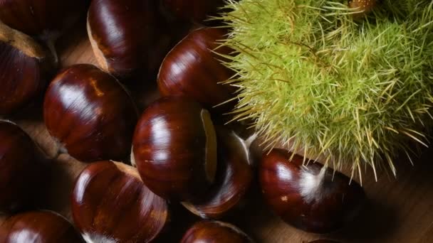 Zoete Kastanjes Met Calybium Draait Hout Castanea Sativa Vallen Voedsel — Stockvideo