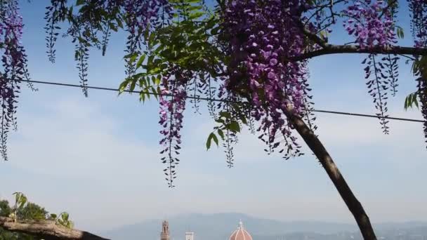 Krásný Výhled Katedrálu Santa Maria Del Fiore Florencii Jak Vidět — Stock video