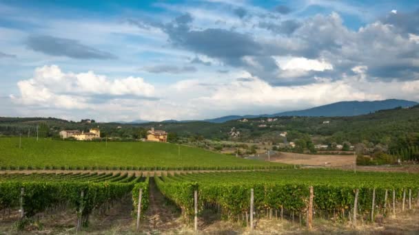 Rader Gröna Vingårdar Chianti Regionen Solig Dag Sommarsäsong Toscana Timelapse — Stockvideo