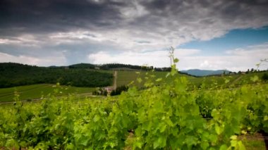 Bulutlu gökyüzü Toskana 'da Floransa yakınlarındaki Chianti bölgesindeki güzel yeşil üzüm bağlarının üzerinde hareket ediyor. Zaman ayarlı. durağan kamera.