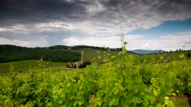 Chmurne Niebo Porusza Się Nad Pięknymi Zielonymi Winnicami Regionie Chianti — Wideo stockowe