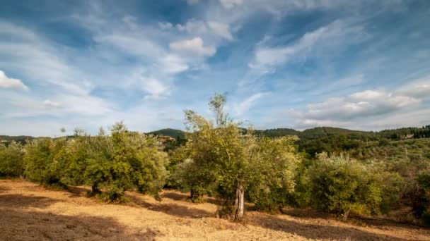 Toscana Belas Oliveiras Com Nuvens Passando Céu Azul Prazo Validade — Vídeo de Stock