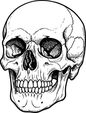 Siyah çizgili beyaz kafatası anatomik detayları gösteriyor, çarpıcı ve keskin bir estetik sağlıyor, dövme tasarımları veya Cadılar Bayramı temalı projeler için uygun.