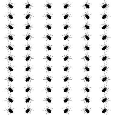 Örümcekler desenle Cadılar Bayramı