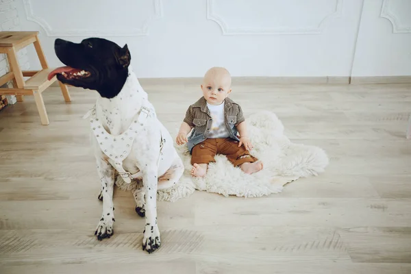 Menino com cão — Fotografia de Stock