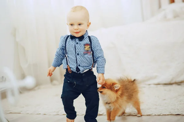 Menino com cão — Fotografia de Stock