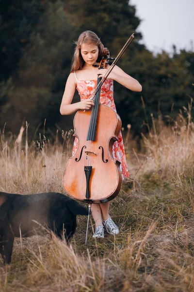 Ragazza con violoncello — Foto Stock