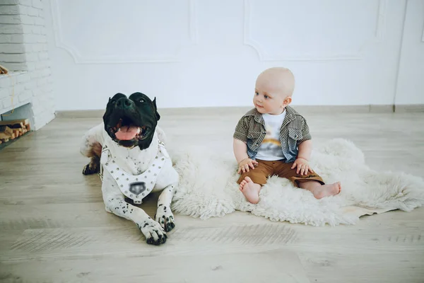 Menino com cão — Fotografia de Stock