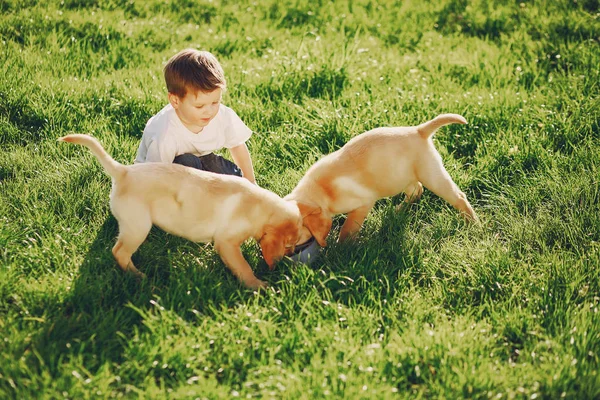 男孩与狗 — 图库照片