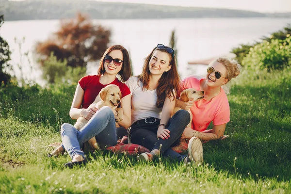 Drei Junge Schöne Mädchen Einem Sonnigen Sommerpark Die Mit Einem — Stockfoto