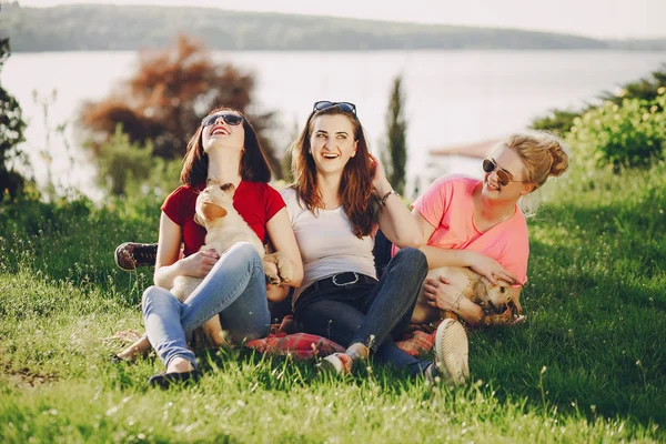 Mädchen mit Hund — Stockfoto